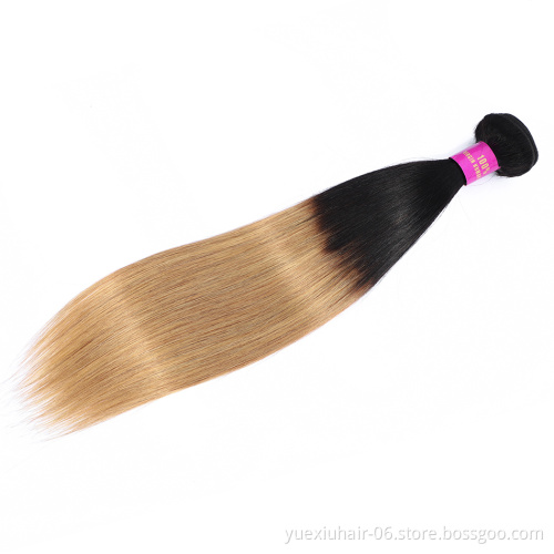 High Quality Double Drawn Brazilian Human Hair Bundles 1B 27 ombre colored Hair Extensions straight Bundles
